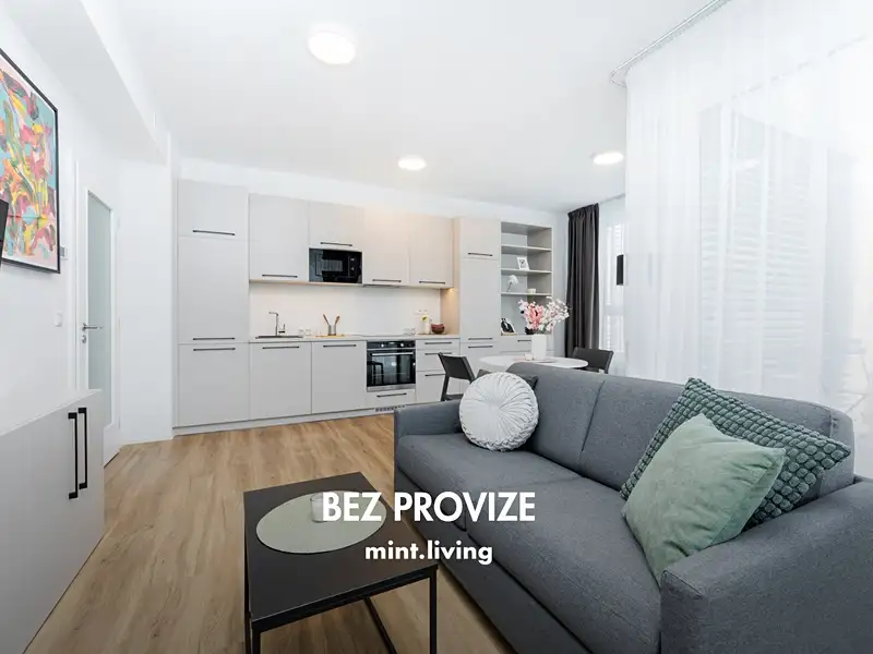 Pronájem bytu 2+kk 49 m², Praha – náhled fotky 1