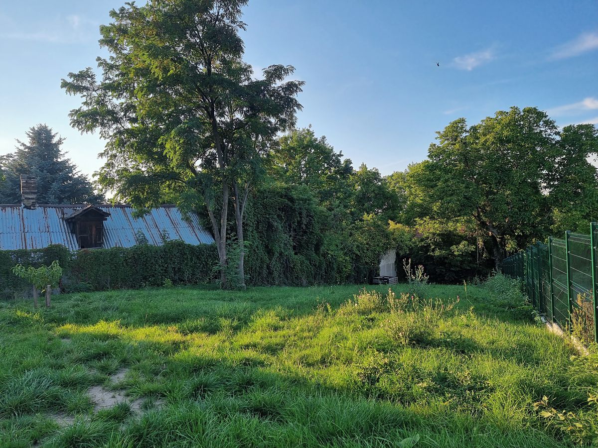 Pronájem rodinného domu 50 m², pozemek 739 m² – fotografie 2