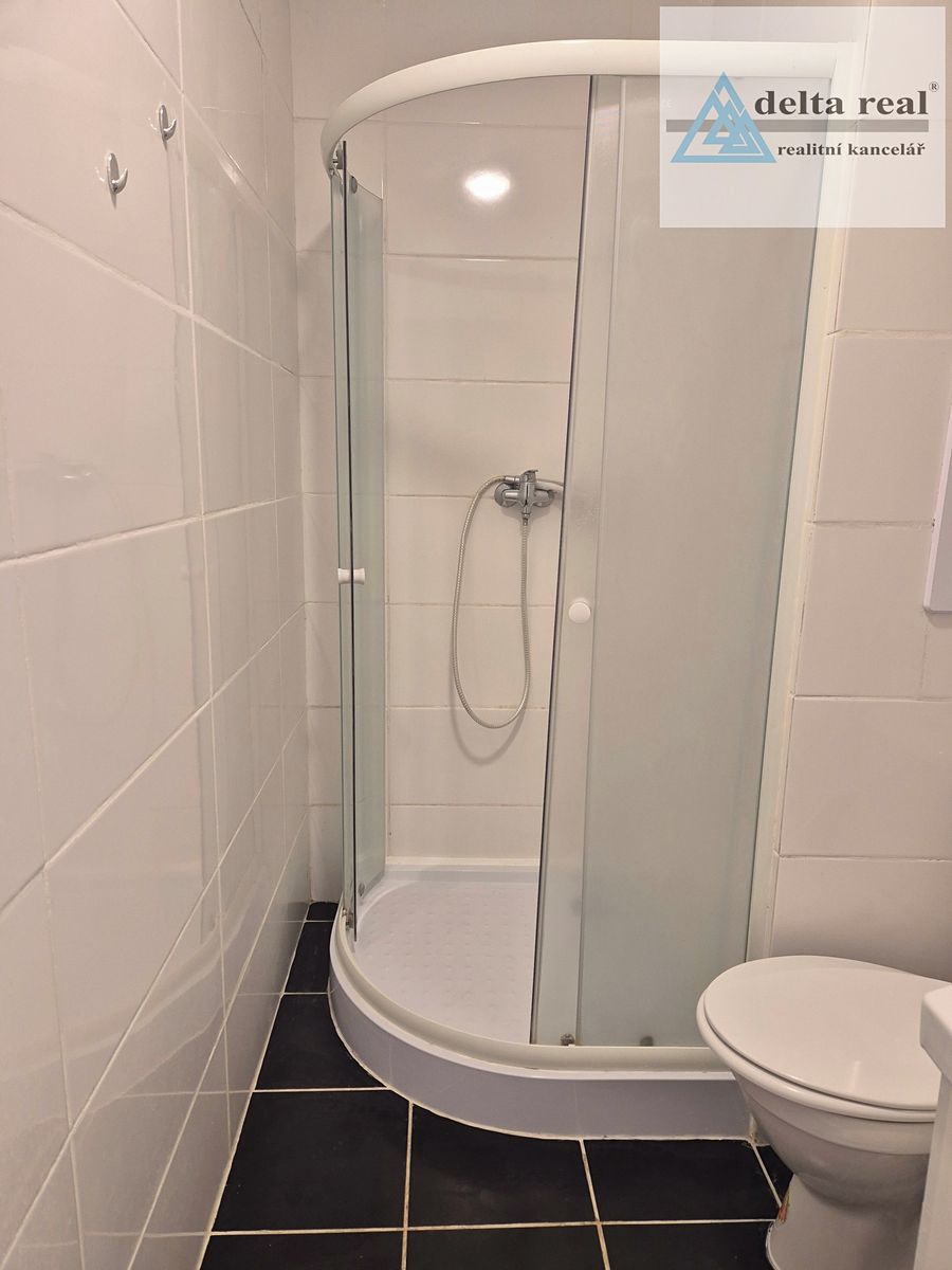 Pronájem bytu 1+kk 28 m² – fotografie 3