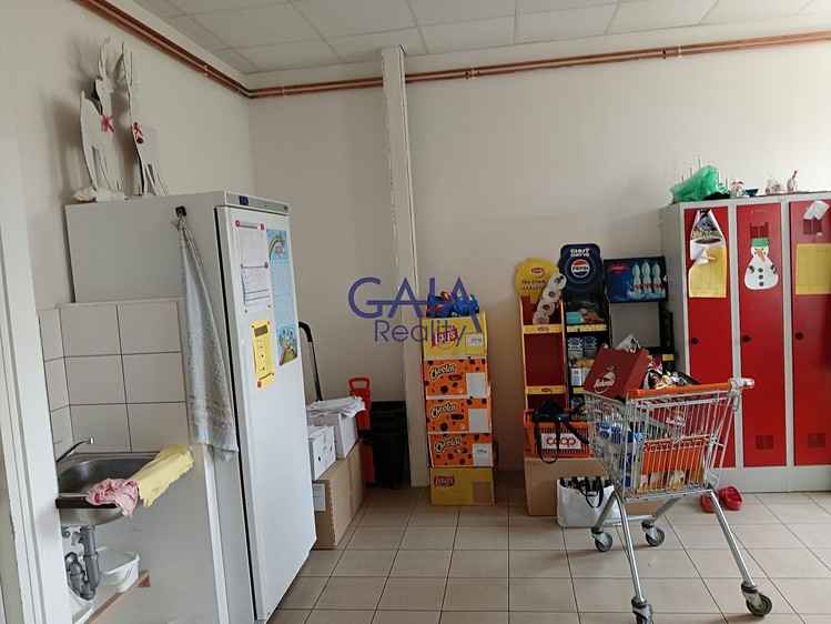 Prodej komerčního prostoru, 218 m² (12 z 21)