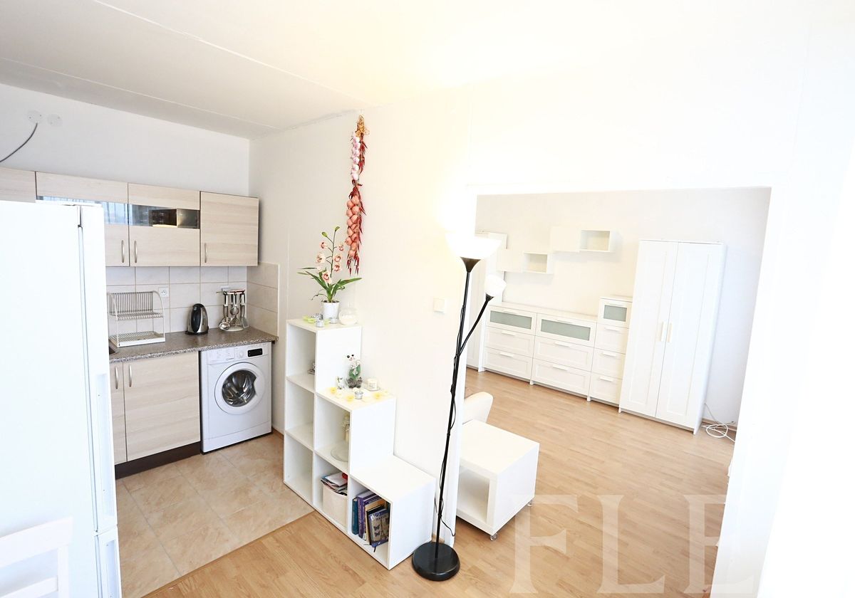 Pronájem bytu 1+1 34 m² – fotografie 3