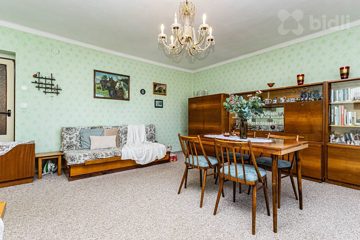Prodej rodinného domu 250 m², pozemek 3642 m² – fotografie 3