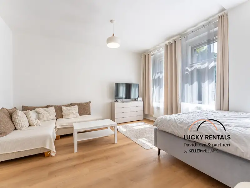 Pronájem bytu 1+1 41 m², Praha – náhled fotky 2