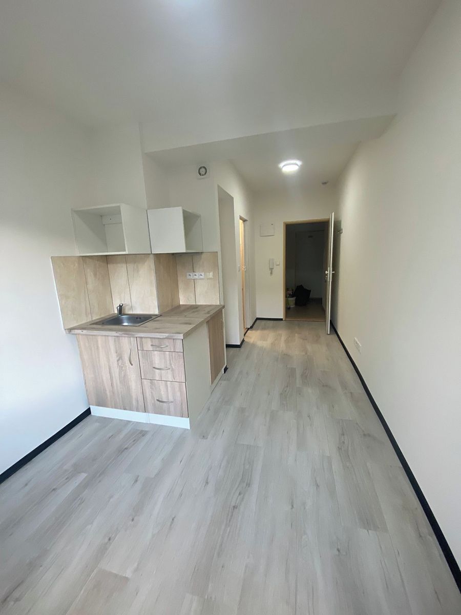 Pronájem bytu 1+kk 18 m² – fotografie 3