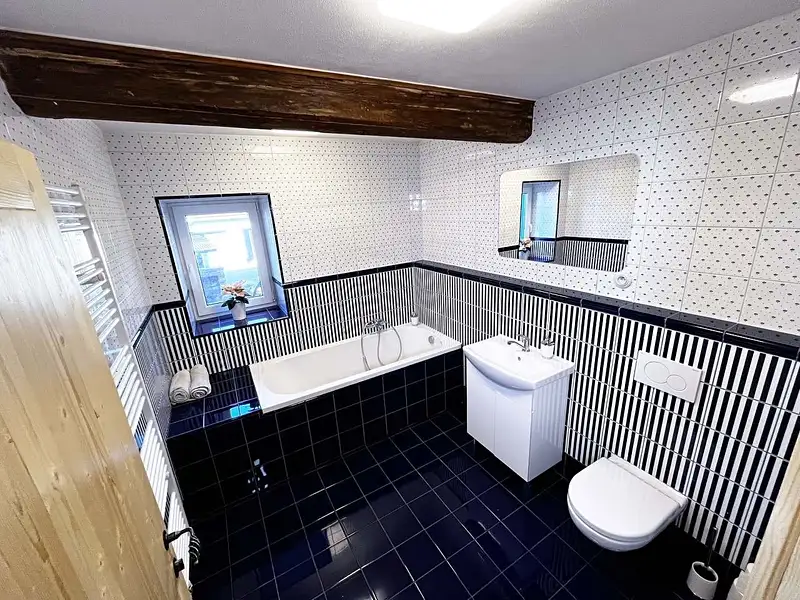 Prodej chalupy 250 m², pozemek 458 m², Fryšava pod Žákovou horou – náhled fotky 3
