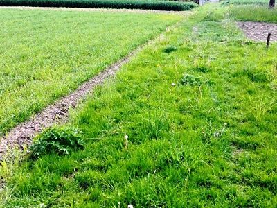 Prodej skladového prostoru 6000 m²