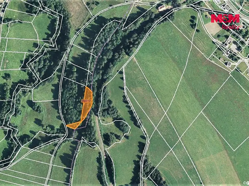 Prodej lesa 9502 m², Bernartice – náhled fotky 3