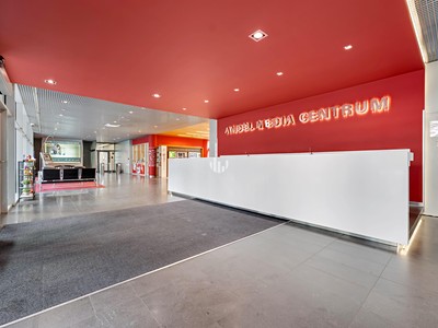 Pronájem komerčního prostoru, 300 m² (2 z 10)