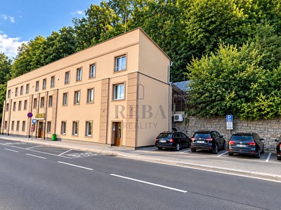 Prodej komerčního prostoru, 660 m² (2 z 20)