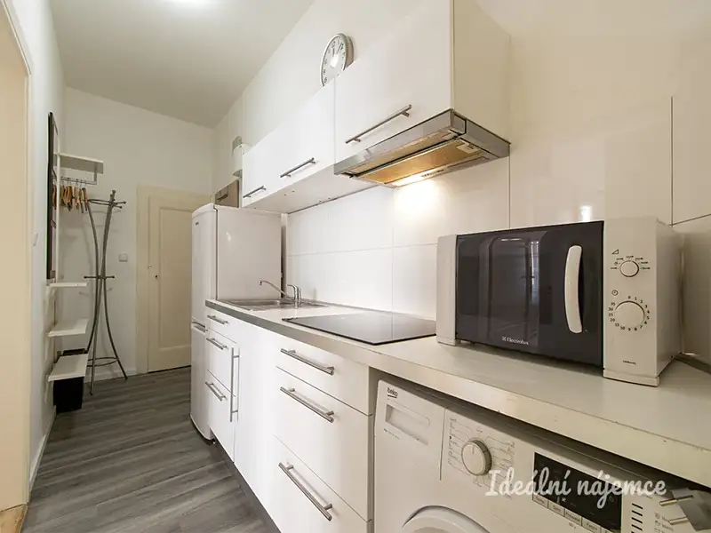 Pronájem bytu 2+1 56 m², Praha – náhled fotky 2