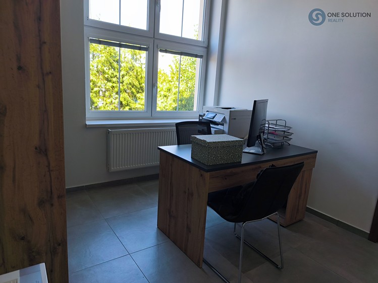 Pronájem komerčního prostoru, 230 m² (7 z 17)