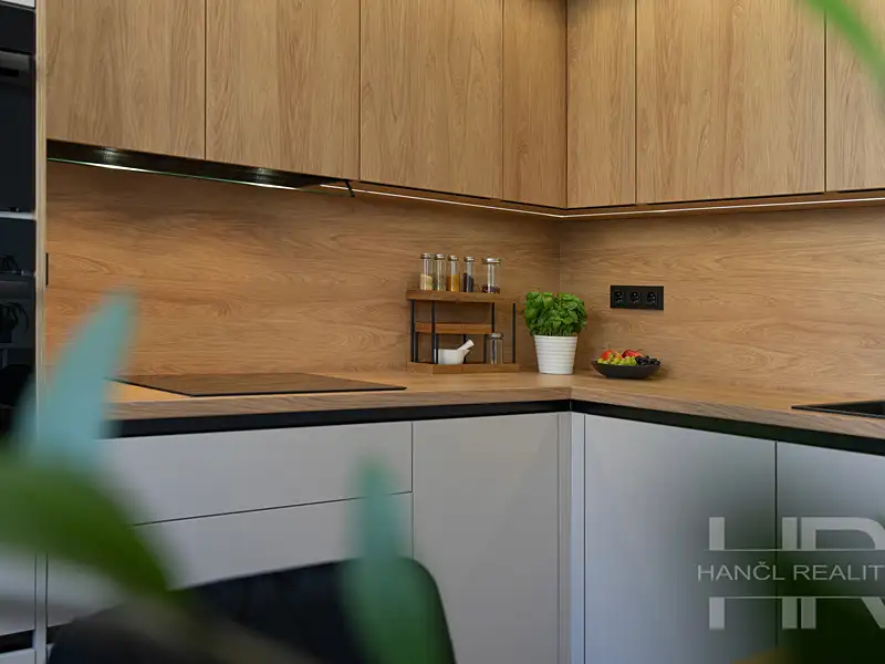 Pronájem bytu 3+1 60 m², Olomouc – náhled fotky 3