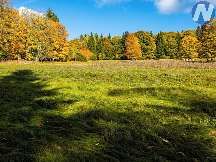 Grundstück zum Kauf, 6.572 m² (4 von 14)