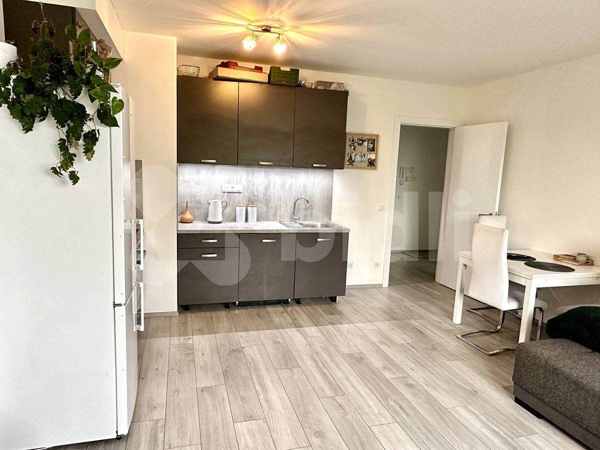 Pronájem bytu 2+kk 60 m² – fotografie 4