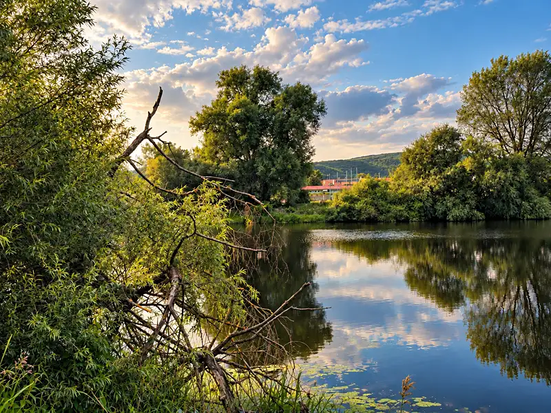 Prodej louky 185 m², Lety – náhled fotky 2
