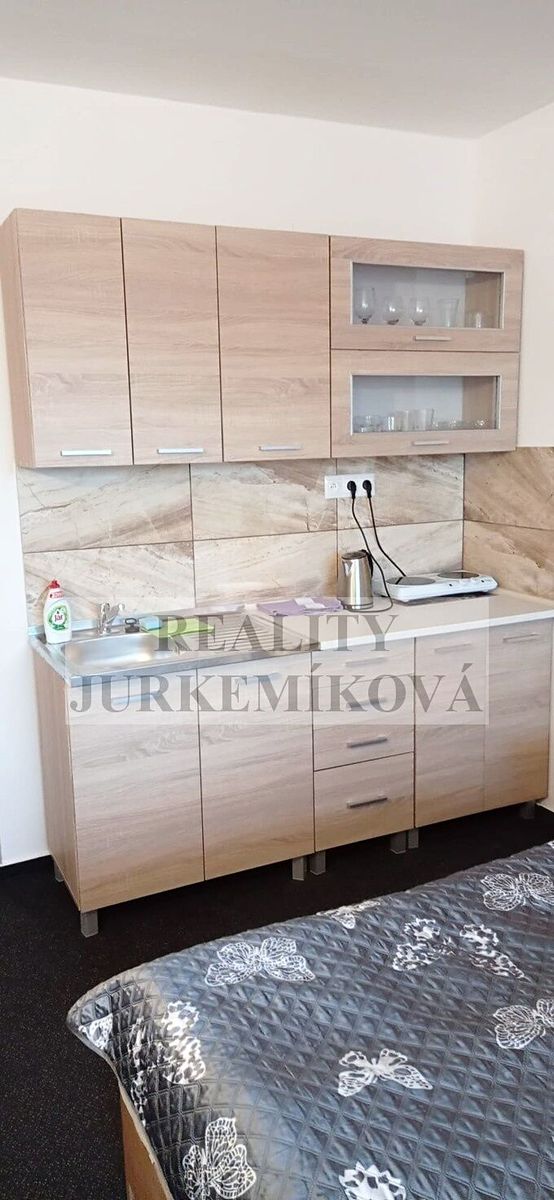 Pronájem bytu 1+kk 32 m² – fotografie 2
