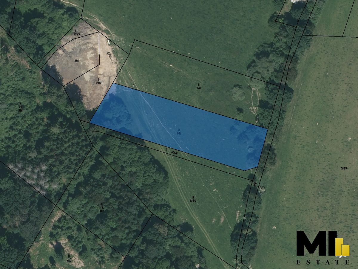 Prodej louky 4236 m², Mladá Vožice – fotka 1 z 3