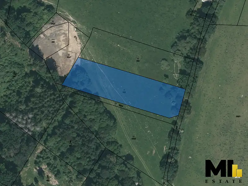 Prodej louky 4236 m², Mladá Vožice – náhled fotky 1