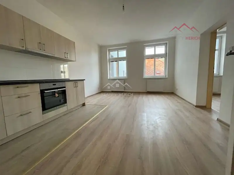 Pronájem bytu 1+1 40 m², Chomutov – náhled fotky 1