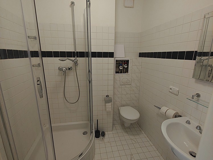 Pronájem bytu 3+1, 112 m² (7 z 9)