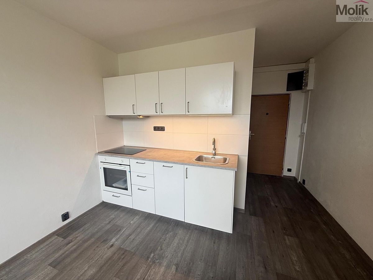 Pronájem bytu 1+1 35 m² – fotografie 2