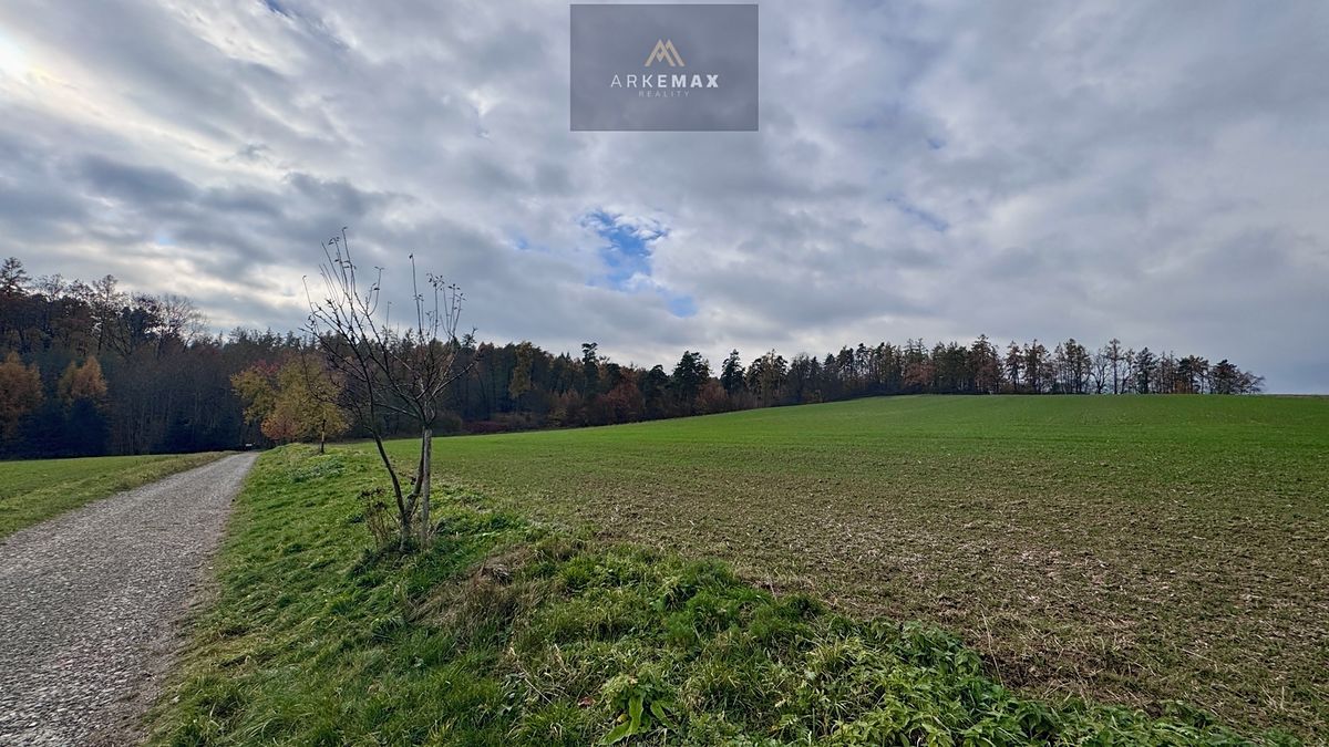 Prodej pole 17151 m² 4
