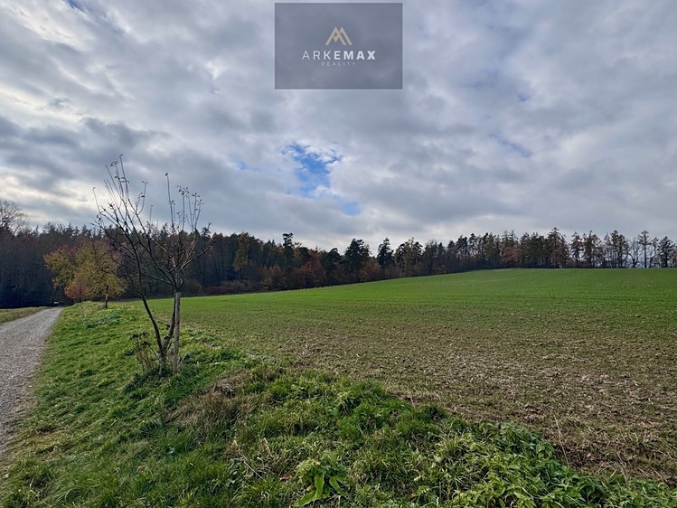 Prodej pozemku, 17 151 m² (4 z 6)
