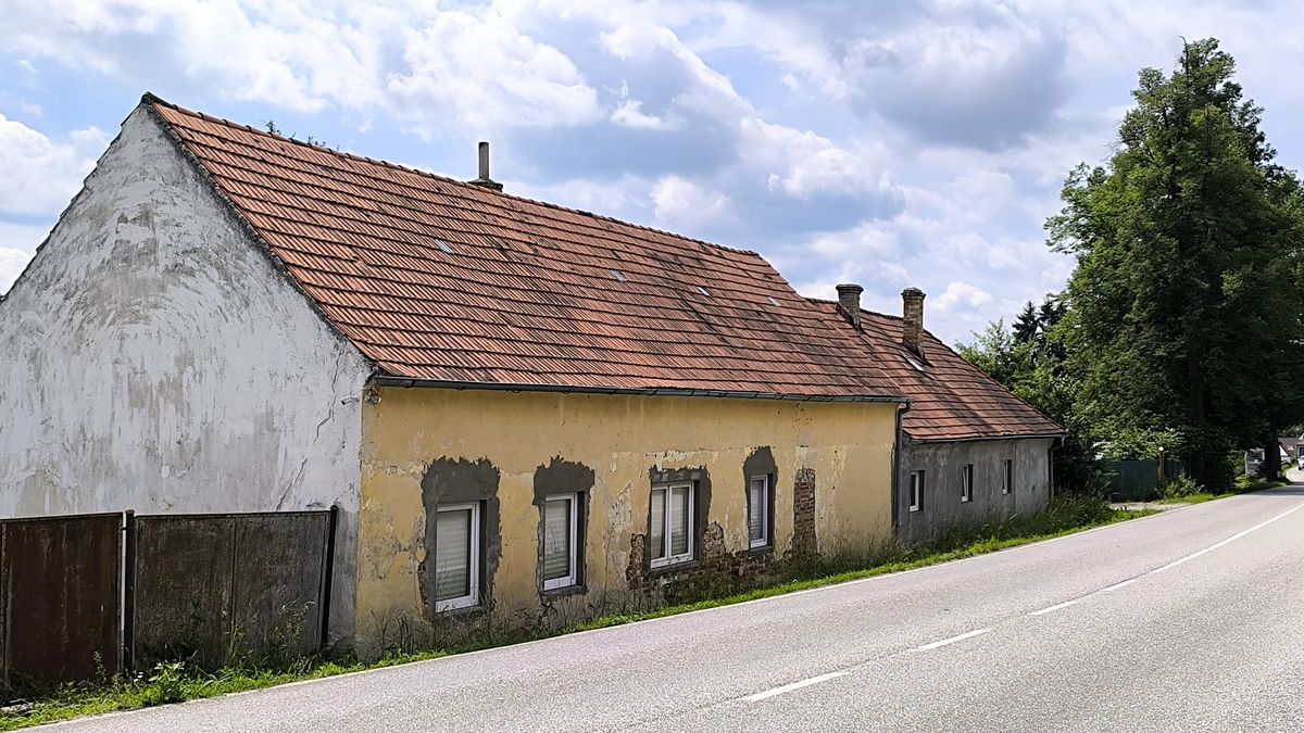 Prodej rodinného domu 400 m², pozemek 2476 m² – fotografie 4