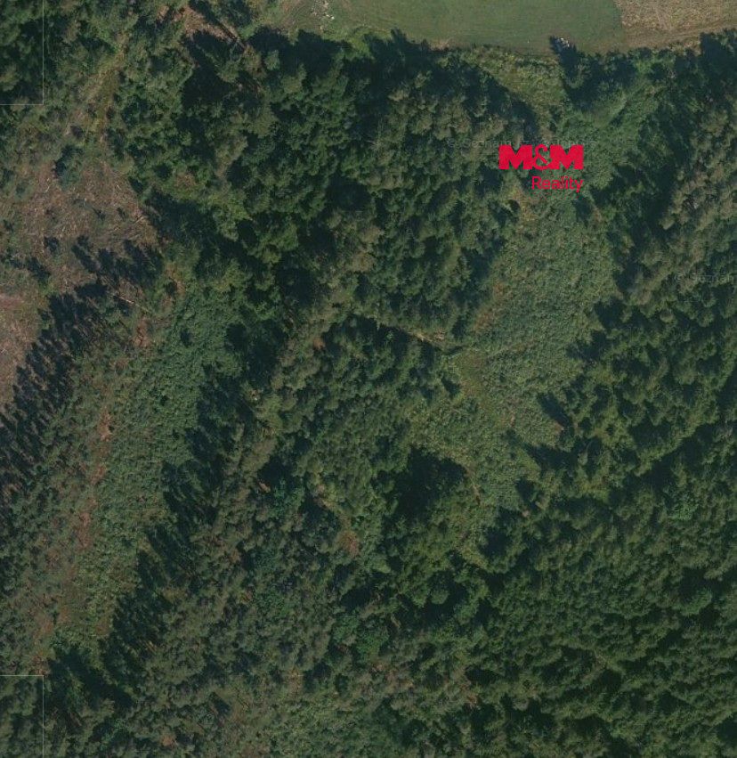 Prodej lesa 32765 m², Libín – fotka 1 z 3