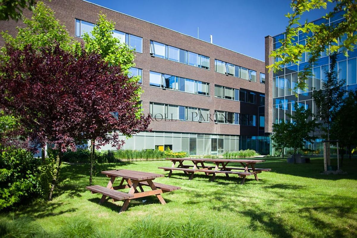 Pronájem kanceláře 30 m² – fotografie 3