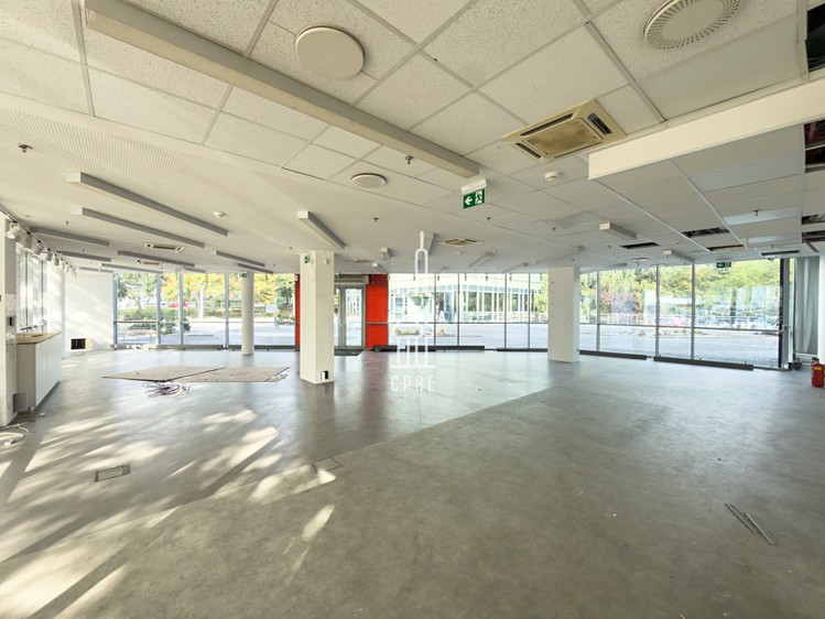 Gewerbefläche zur Miete, 239 m² (4 von 9)