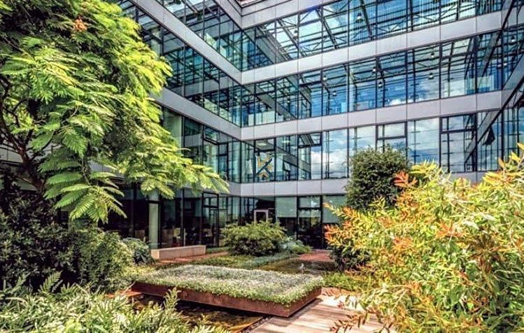 Gewerbefläche zur Miete, 200 m² (4 von 12)