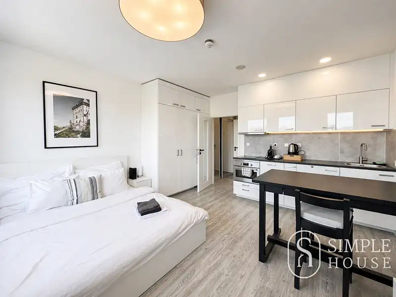 Pronájem bytu 1+kk 27 m², Praha – náhled fotky 2