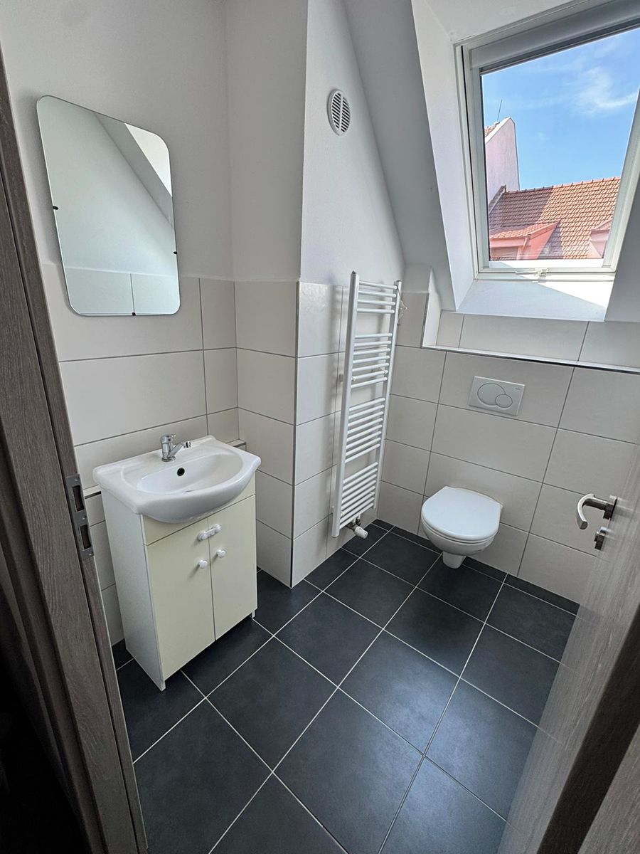 Prodej rodinného domu 250 m², pozemek 390 m² – fotografie 4
