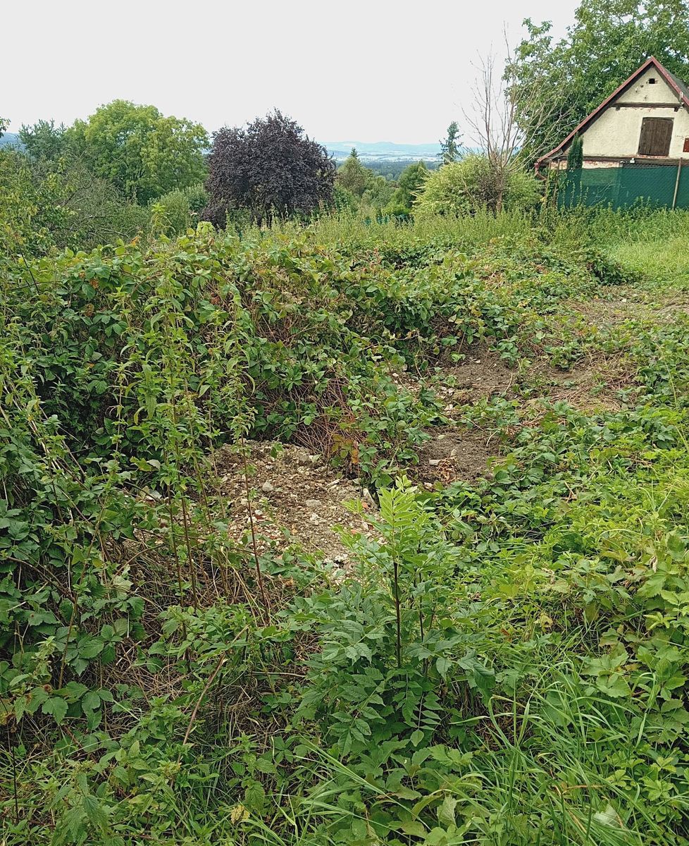 Prodej stavebního pozemku 2043 m² – fotografie 3