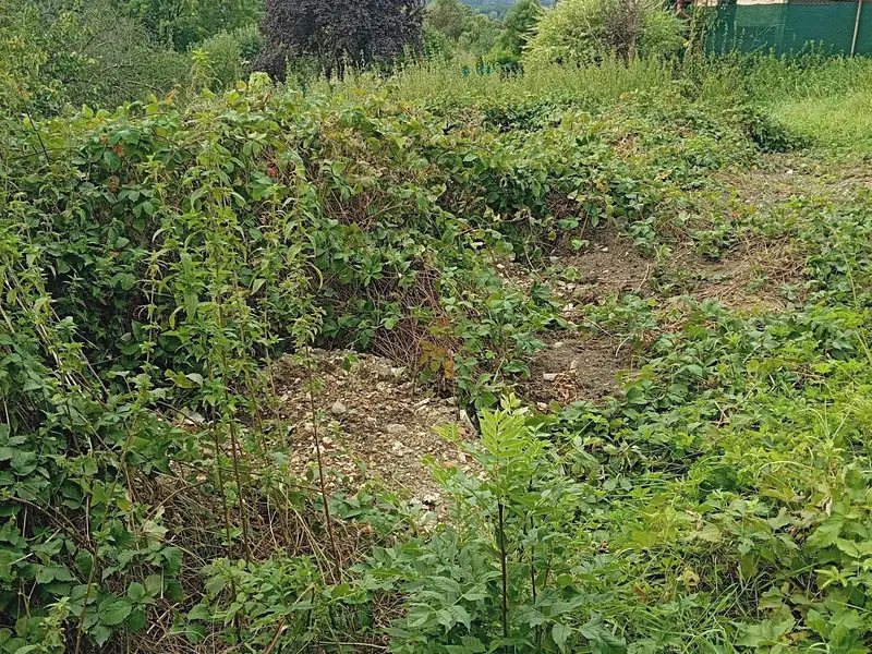 Prodej stavebního pozemku 2043 m², Andělská Hora – náhled fotky 3