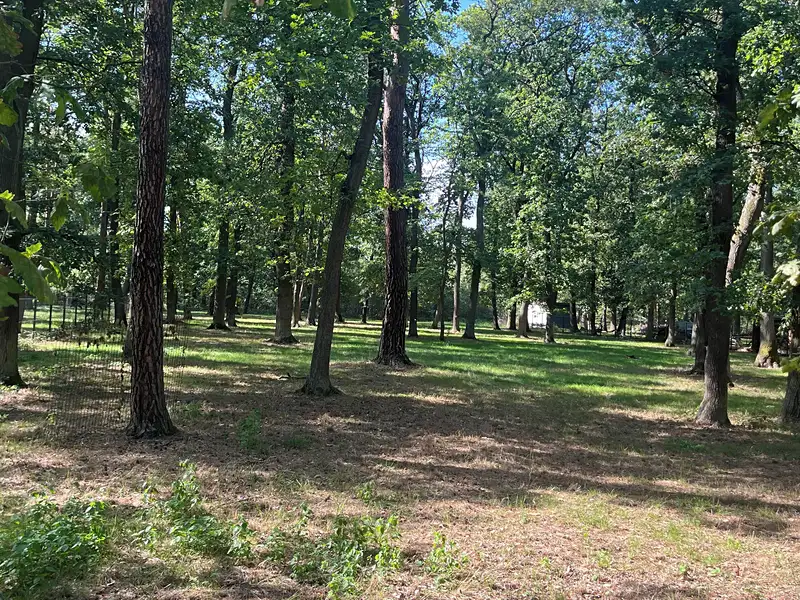 Prodej stavebního pozemku 3171 m², Hradištko – náhled fotky 2