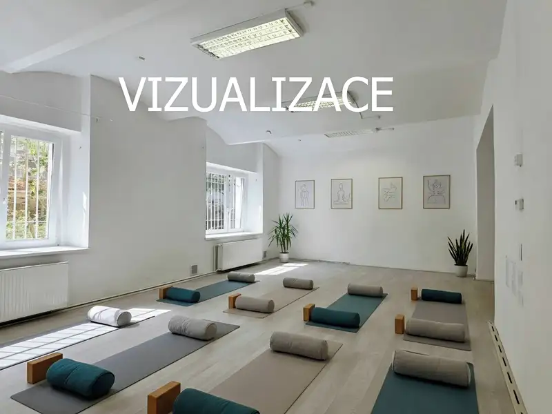 Pronájem kanceláře 167 m², Plzeň – náhled fotky 3