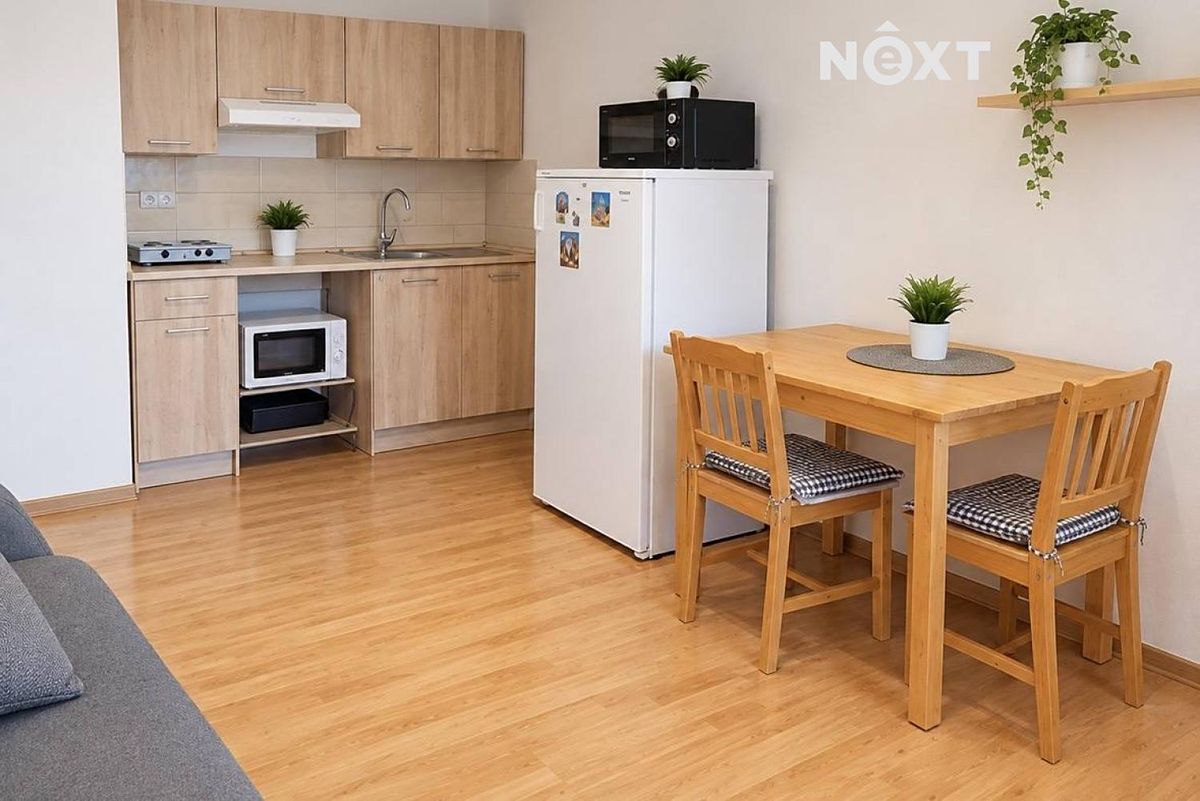 Pronájem bytu 1+kk 30 m² – fotografie 3