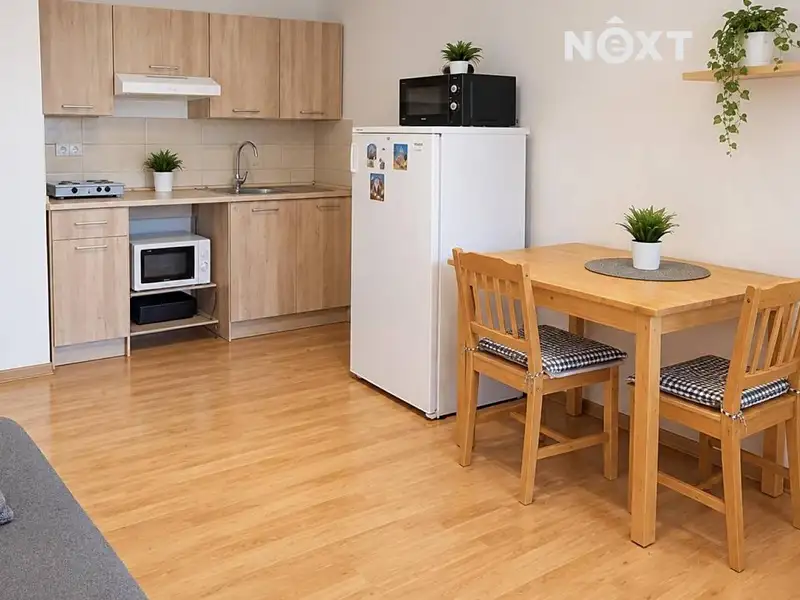 Pronájem bytu 1+kk 30 m², Ostrava – náhled fotky 3