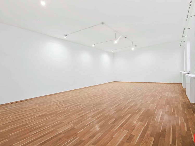 Prodej komerčního prostoru, 145 m² (6 z 25)