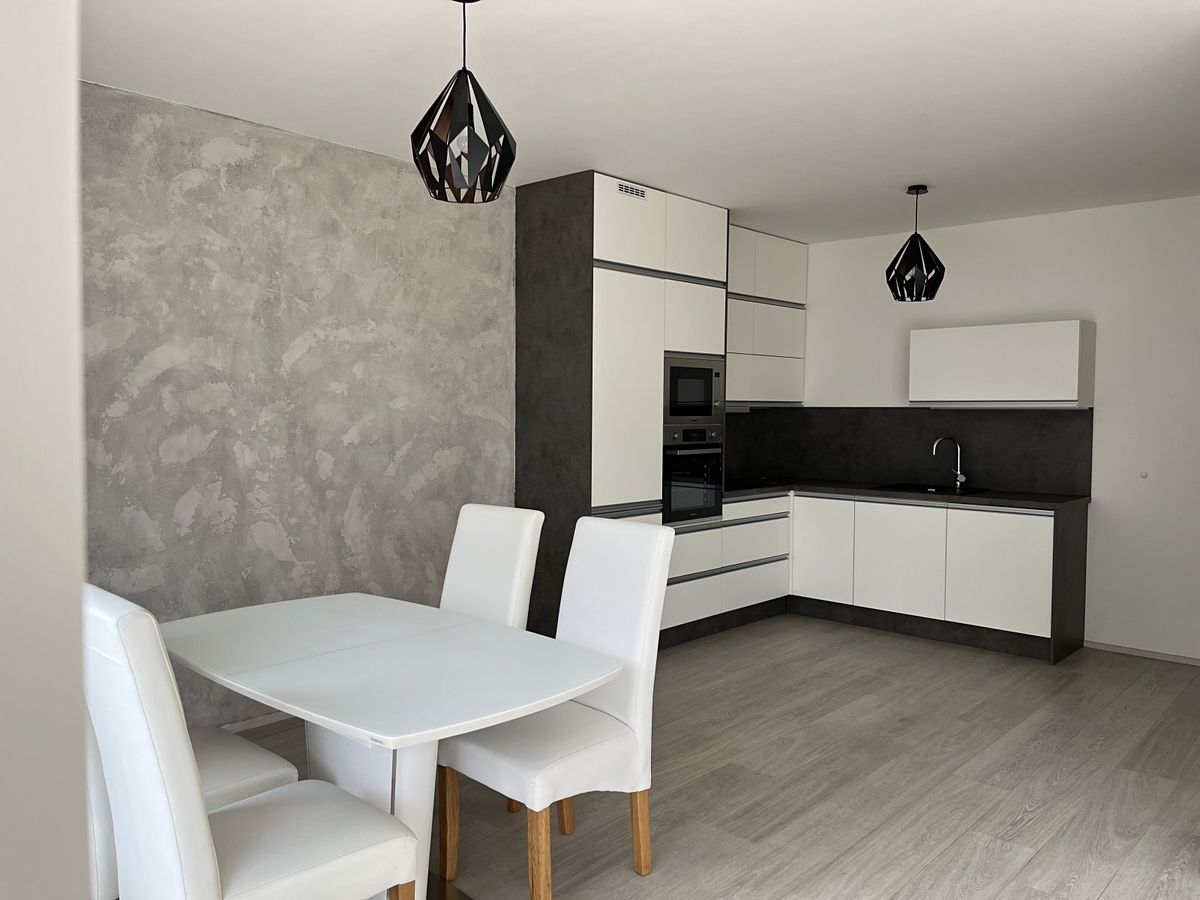 Pronájem bytu 1+kk 55 m²