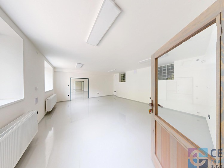 Pronájem komerčního prostoru, 350 m² (4 z 14)