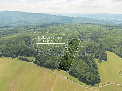 Prodej  lesa 17 015 m²