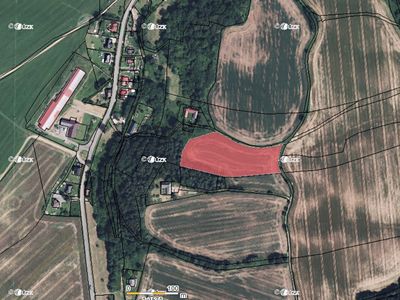 Prodej pole 11559 m²