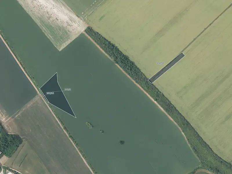 Prodej pole 13846 m², Vrdy – náhled fotky 1