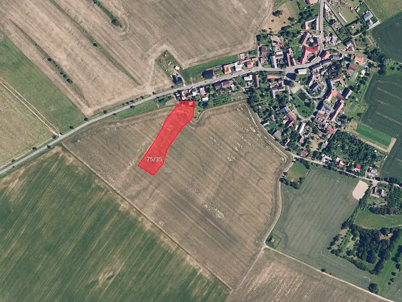 Prodej pole 6254 m², Bílá Lhota – náhled fotky 1