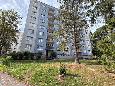 Prodej bytu 1+1 39 m²