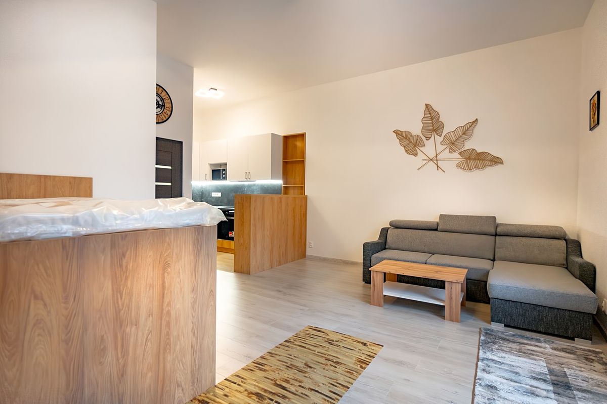 Pronájem bytu 1+kk 41 m² – fotografie 5