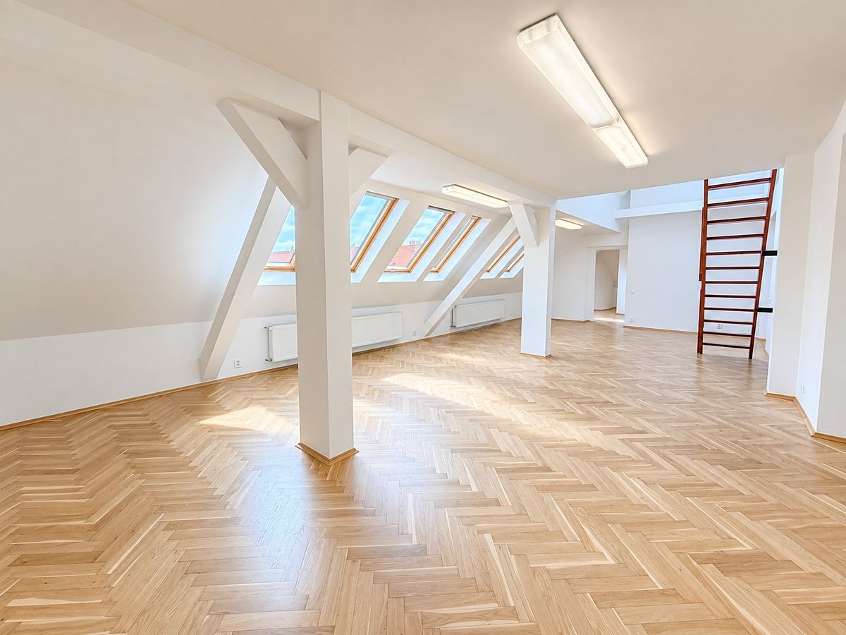 Pronájem kanceláře 150 m² – fotografie 2